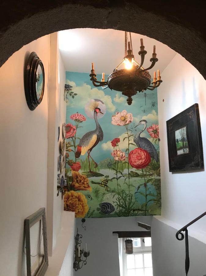B&B Du Cloitre Tréguier 외부 사진